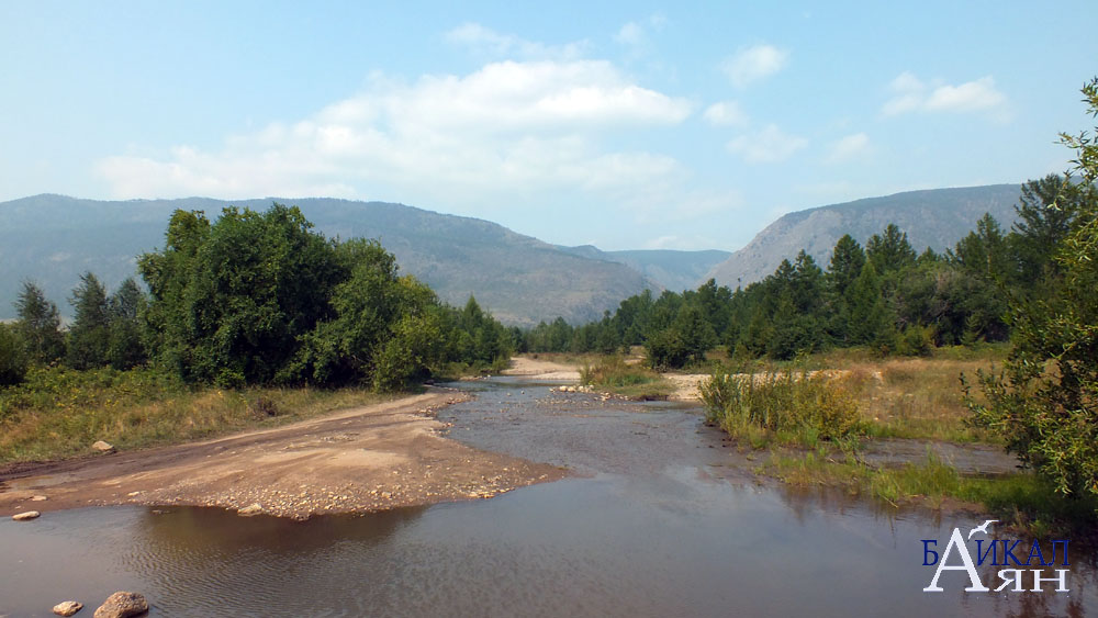 Река Курма в устье