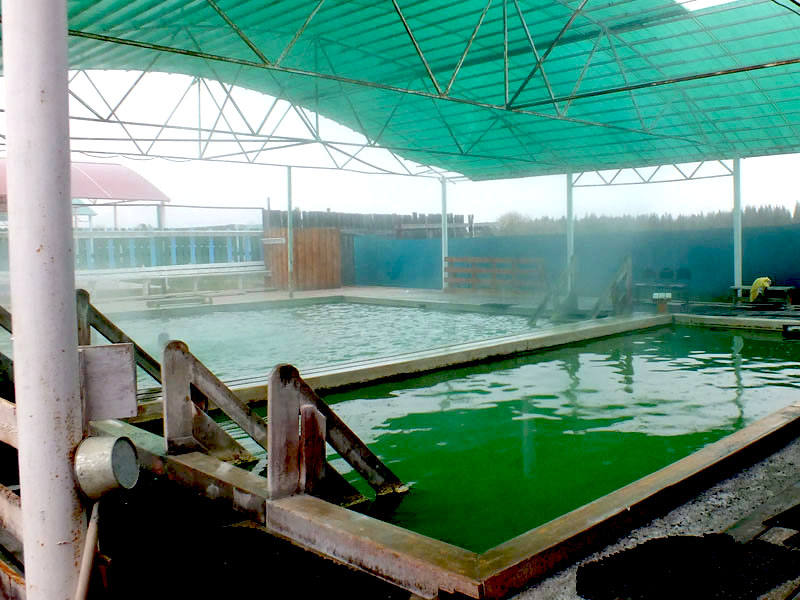 Открытый бассейн в Жемчуге