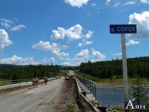 Презентация окинский район