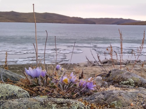 Байкал весной: состояние льда, где и как отдохнуть, цены и фотографии мест